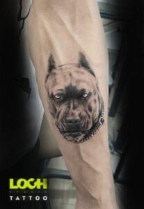 Loch Studio Tattoo - Pies
