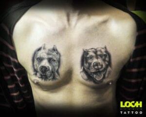 Loch Studio Tattoo - Amstaffy
