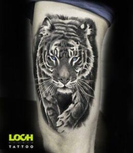 Loch Studio Tattoo - Tygrys