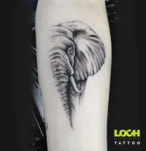 Loch Studio Tattoo - Słoń