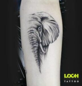 Loch Studio Tattoo - Słoń