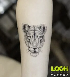 Loch Studio Tattoo - mały tatuaż lwica