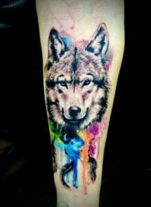 Loch Studio Tattoo - Kolorowy wilk